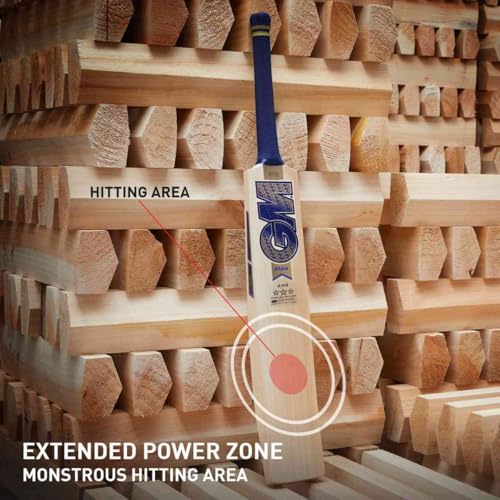 Image of GM Brava 444 English Willow Cricket Bat for Mens, Size - Mens
