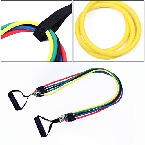 Fansport – Kit 11 peças, Elásticos para Exercício Funcional