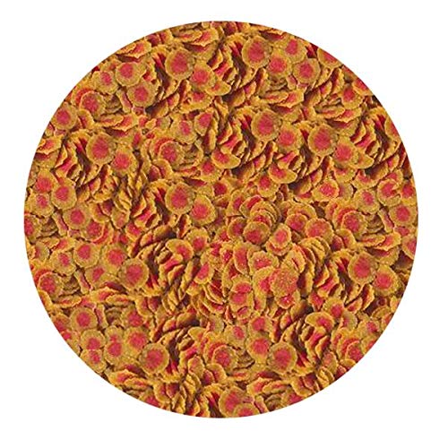 Tetra PRO Colour 500gr - Kovadan Bölme