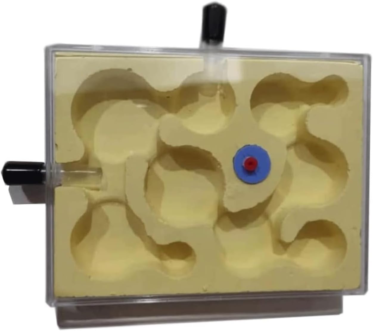 Ant Farm Ant Castle Easy to Install Nest Farm Watch Ants Dig Their Own Tunnels for Adults Habitat(Brown)