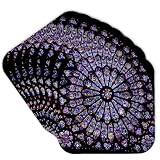 3dRose Notre Dame Cathedral Stained Glass - Soft Coasters, Set of 8 (CST_50227_2)