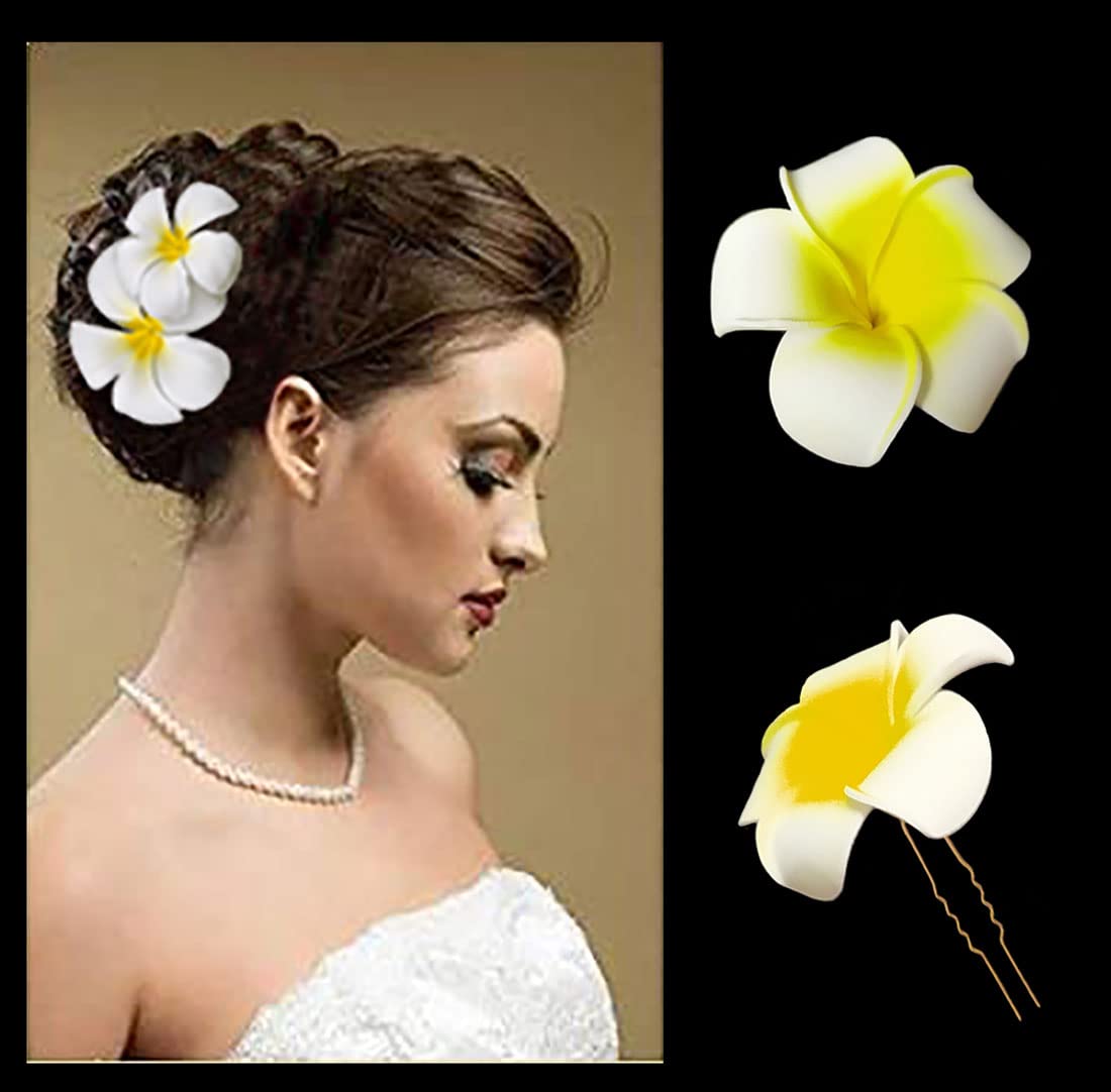 See full amazon price history chart for Tia Crafts White Hawaii Plumeria flower hair clips (Set of 2 flowers) Tia Crafts White Hawaii Plumeria flower hair clips (Set of 2 flowers) (B09KQD7PGF) Amazon Price History, Amazon Price Tracker