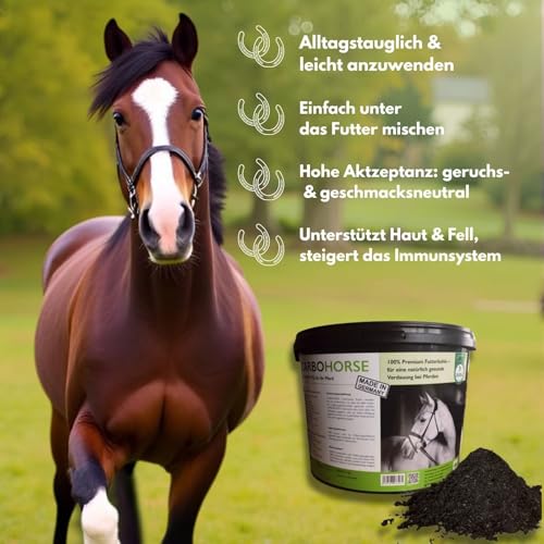 CarboVerte Futterkohle für Pferde 3,5 kg – gegen Kotwasser & Verdauungsprobleme – natürliche Entgiftung, glänzendes Fell & mehr Vitalität – 100% pflanzlich, staubarm