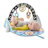 fisher price spielbogen rainforest abbau Maschinenwaschbar (Spielzeuge vorher abnehmen)