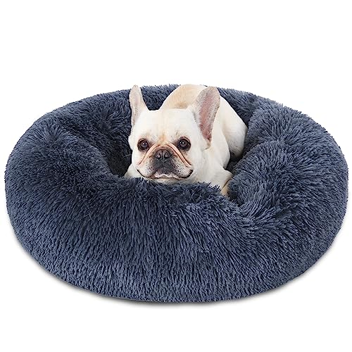 Best Dog Bed Reviews & Products 2023 Practice Test Geeks