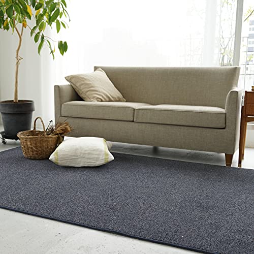 X~mG(Suminoe) I[_[O u[ 70cm ×220cm ECOROA h L