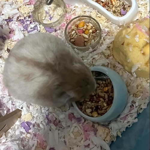 3 Stück Hamster Keramik Futterschalen Set Kleintiere Keramische Näpfe Meerschweinchen Futternapf Rennmaus zwerghamster Mäuse Anti-Biss Zubehör