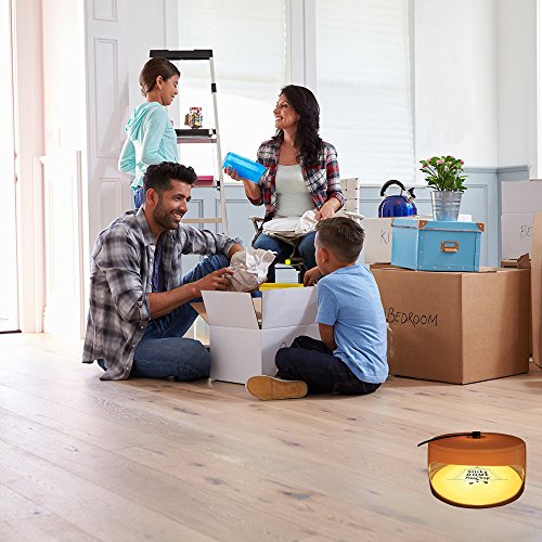 PowerRider Flea Trap Waterproof Non-Toxic No Insecticides Trap Killer Best Bug Trap Pest Control Home (Sticky Disk) - Thumbnail 5