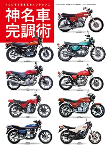 ヤングマシン増刊23年6月号 [雑誌]