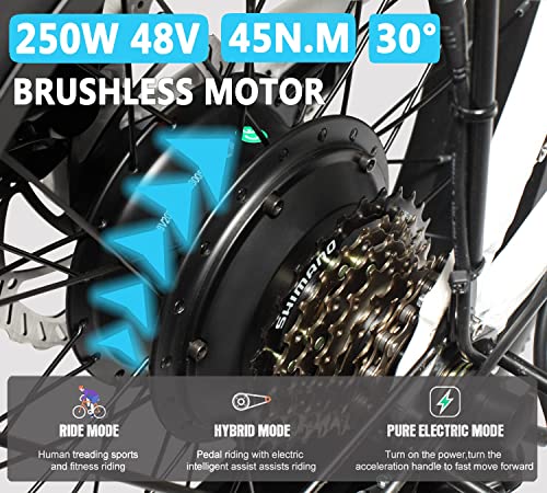 YANGAC 20'' Electric Bikes, Fat Tire Electric Bike for Adults, with 250W Power Motor, 48V 13Ah Removable Li-Ion Battery… - Image 4