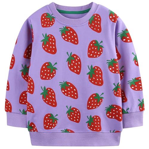 Image of AIWUHE Toddler Cotton Sweatshirt Boys Girls Pullover Long Sleeve Tops 2-6Y | Tops Blouse, Cotton T-Shirt, Fall Winter Clothes