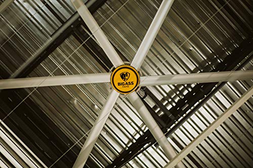 Big Ass Fans 3025 10 foot Commercial Indoor Ceiling Fan with Universal