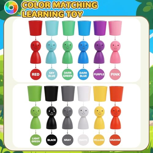 Image of SHINETOY 12PCS Color Sorting Cup with Wooden Bowls | Matching Game for Toddlers 3-6 | Montessori STEM, Math & Sensory Learning Toy