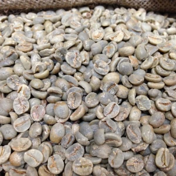| 松屋珈琲 コーヒー生豆 ブラジル サントス No.2 17&frasl;18 (1kg袋
