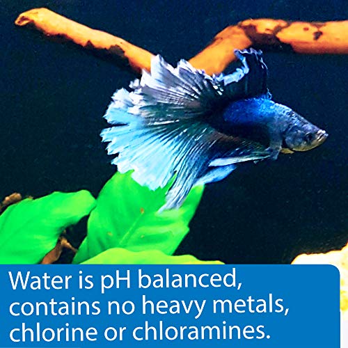 API Betta Water, 64 OZ - Image 3