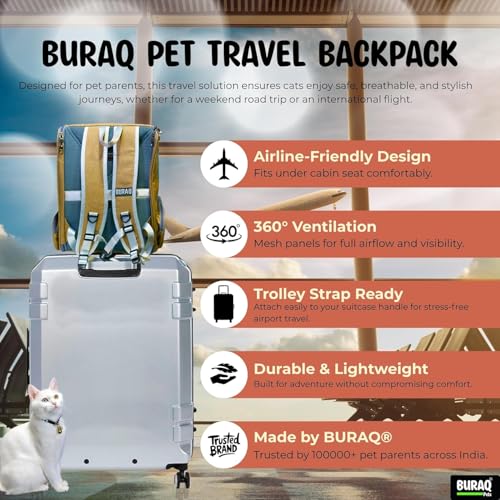 Image of Buraq Breathable Cat Backpack Carrier for Hot Weather, Foldable & Ventilated Travel Bag, Durable Mesh Sides, Reflective Straps for Adult & Kitten Cats (Black)