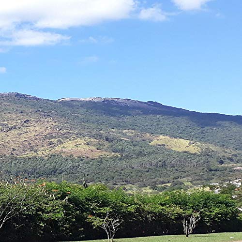  Novo Horizonte