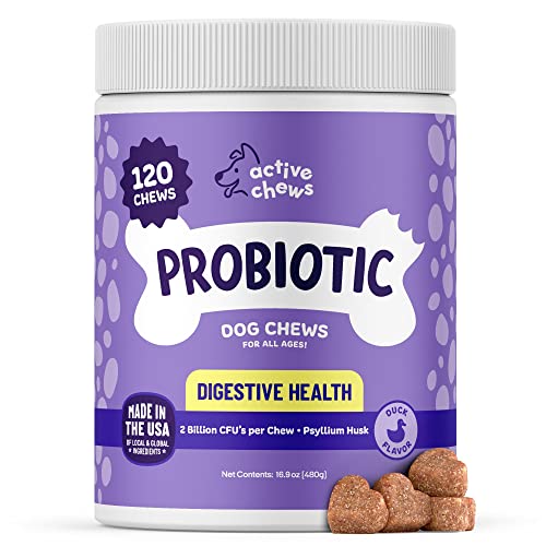 Active Chews | Pet Probiotics for Dogs | Dog Probiotics and Digestive Enzymes for Dogs Diarrhea, Gut Health for Dogs | Probiotic Chews for Dogs w/ Fiber, Puppy probiotic Digestive Health, 120 ct