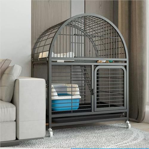 LP[WO\ȋC[LpN[g^ǉ^ꏊnbNpbg͂ O\DIYLpP[WA^E^̔LqLɍœKAgݗĊȒP(,w)