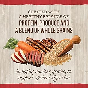 Merrick-Healthy-Grains-Premium-Adult-Dry-Dog-Food-Wholesome-And-Natural-Kibble-With-Beef-And-Brown-Rice-250-lb-Bag - Cucciolini Doodles Merrick-Healthy-Grains-Premium-Adult-Dry-Dog-Food-Wholesome-And-Natural-Kibble-With-Beef-And-Brown-Rice-250-lb-Bag