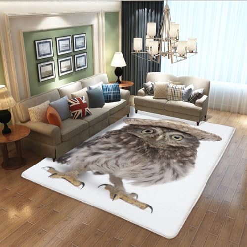 �ӂ��낤 �� �J�[�y�b�g �O�~ �Ɍ� ���O ���O�}�b�g floor mat �􂦂� ���ی� �ݒu�ȒP �h�_�j �R�� �h�L ���� ����~�ߕt ���g�[�Ή� 150×200cm