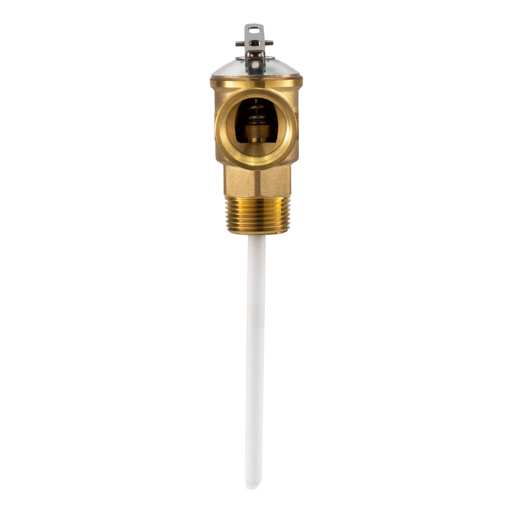 RecPro 3/4" valvola limitatrice di pressione RV con 4" sonda rivestita in resina epossidica