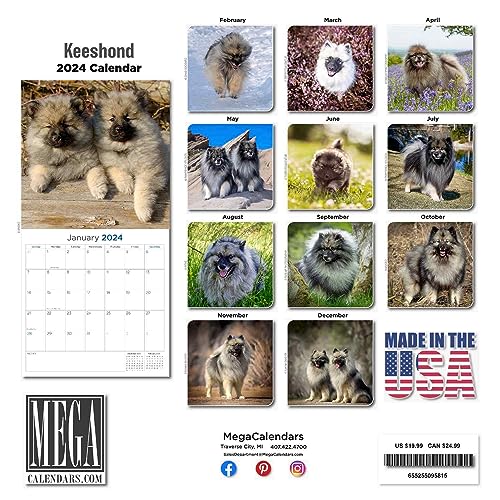Keeshond Calendar 2024 Dog Breed Wall Calendar