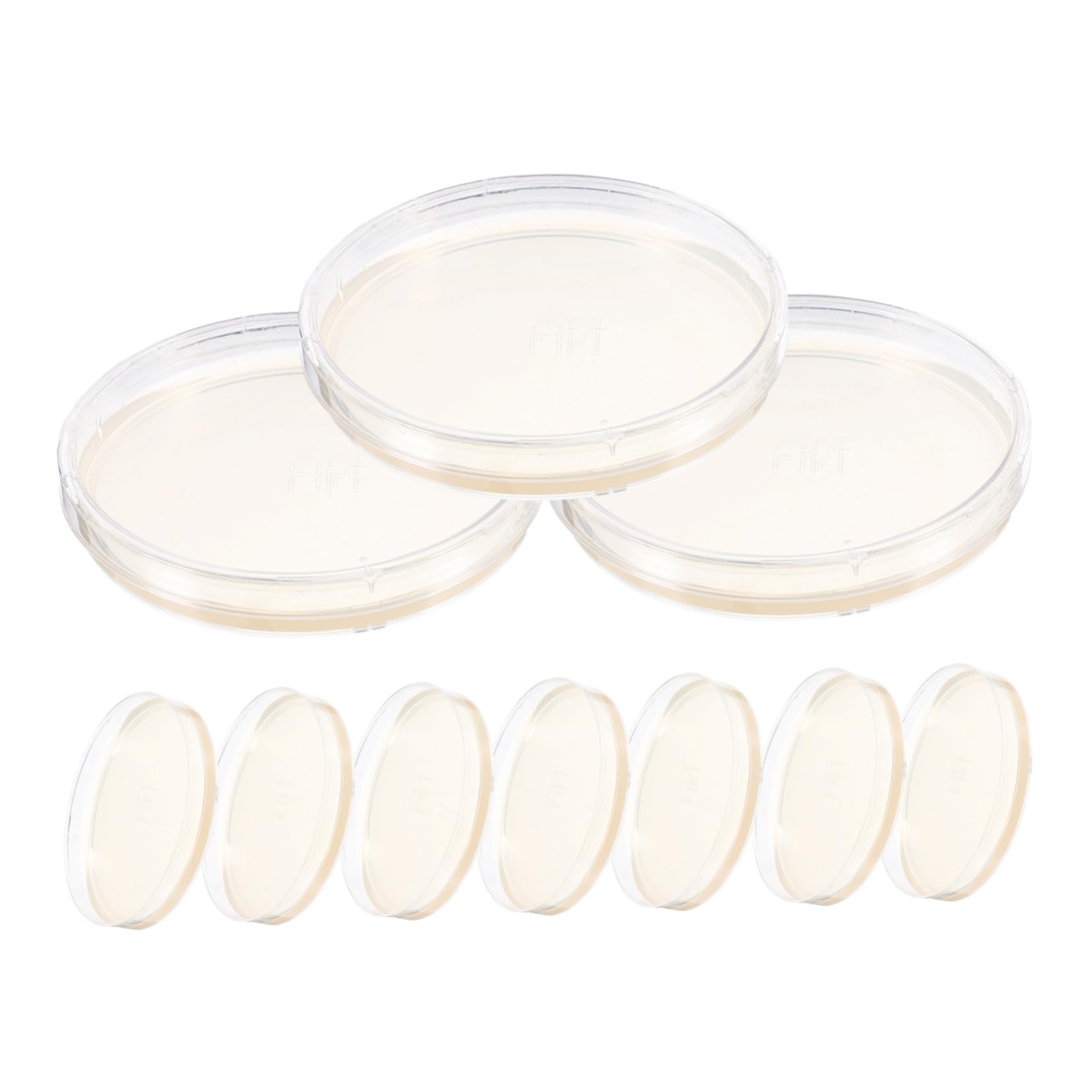 10 Stück Vorgegossene Agar Petrischalen für Wissenschaftliche Experimente