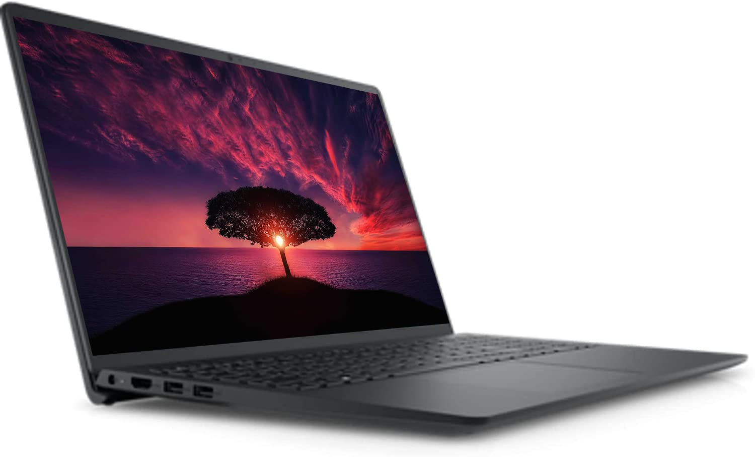 Amazon.com: Dell Inspiron 3525 Business Laptop, 15.6