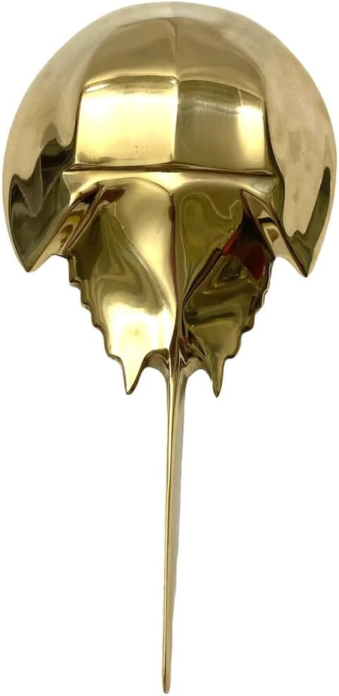 Solid Brass Stingray Fish Design Door Knocker/Nautical Door Accessories Home & Office Decor Knocker Gift