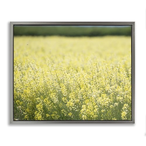 'Bright Country Meadow Wildflowers'| Floating Frame Canvas Art