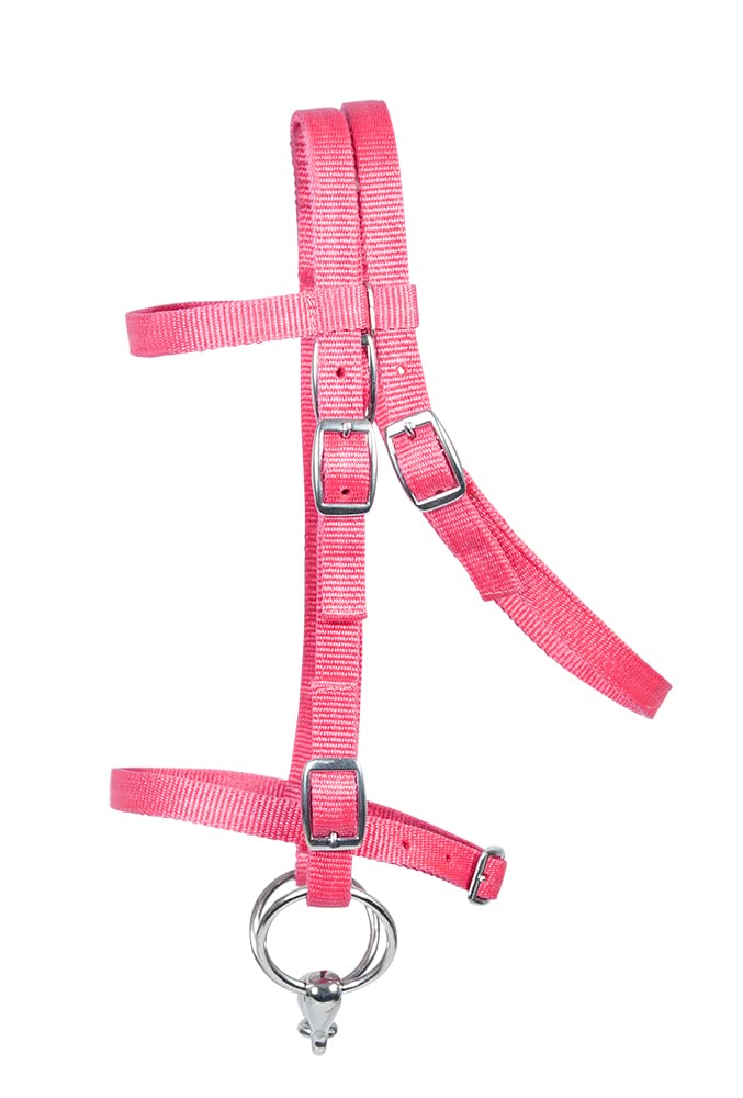 Pfiff 102292 Sattel-Set Komplettausstattung für Ponys und Holzpferde/Plüschpferde, Schwarz-Pink