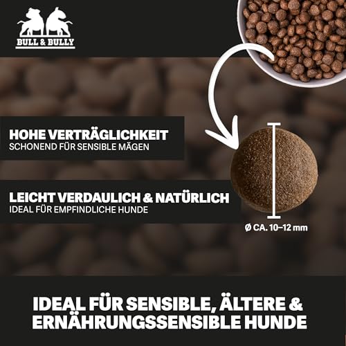 BULL & BULLY – Big Bully Horsepower 10 kg Hundefutter Trocken Getreidefrei – Hundefutter & Hundeleckerli Pferd Pur – Pet Hunde Leckerlis Pferd & Hundesnack für empfindliche Hunde & Senioren
