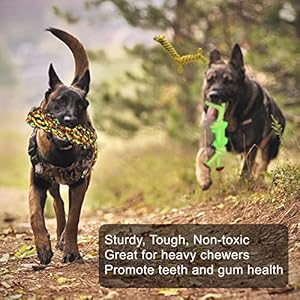 Jalousie 14 Pack Puppy Chew Dog Rope Toy Assortment for Small Medium Large Breeds Cucciolini Doodles Jalousie 14 pack puppy chew dog rope toy assortment for small medium large breeds cucciolini doodles