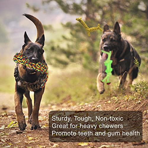 Jalousie 14 Pack Puppy Chew Dog Rope Toy Assortment for Small Medium Large Breeds Cucciolini Doodles Jalousie 14 pack puppy chew dog rope toy assortment for small medium large breeds cucciolini doodles