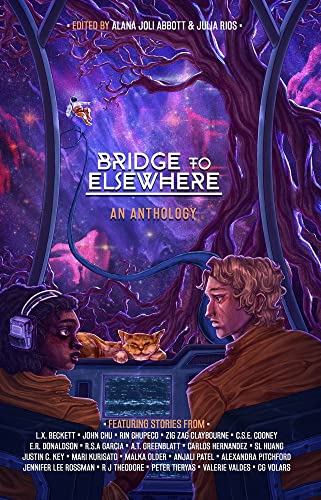 Bridge to Elsewhere view 2
