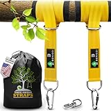Safe Tree Swing Hanging Kit (Set of 2) - 10ft Long Straps with Two Alloy Carabiners and 2200 Lb Breaking Strength - Easy & Fast Installation for All Types of Swings and Children