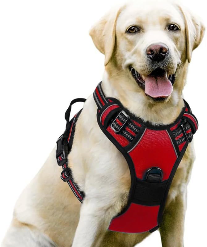 No Pull Dog Harness (M,Orange)