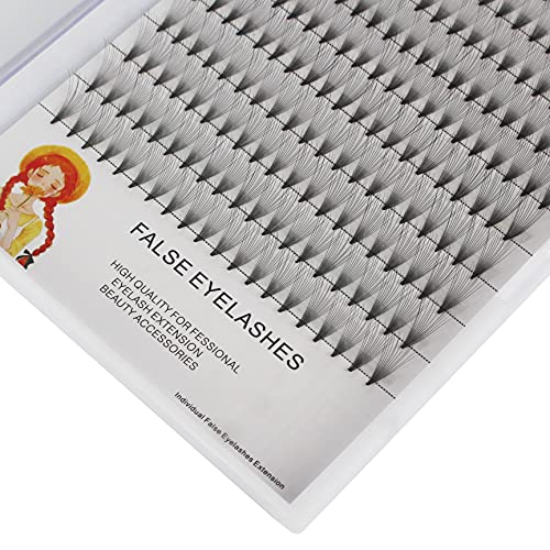 Dedila Large Tray 12D Volume Premade Fans Eye Lashes Extensions Beauty Natural Long Individual False Eye Lashes Makeup Soft And Lightweight Cluster Eyelashes 10-18Mm Available (12Mm) #TOP2