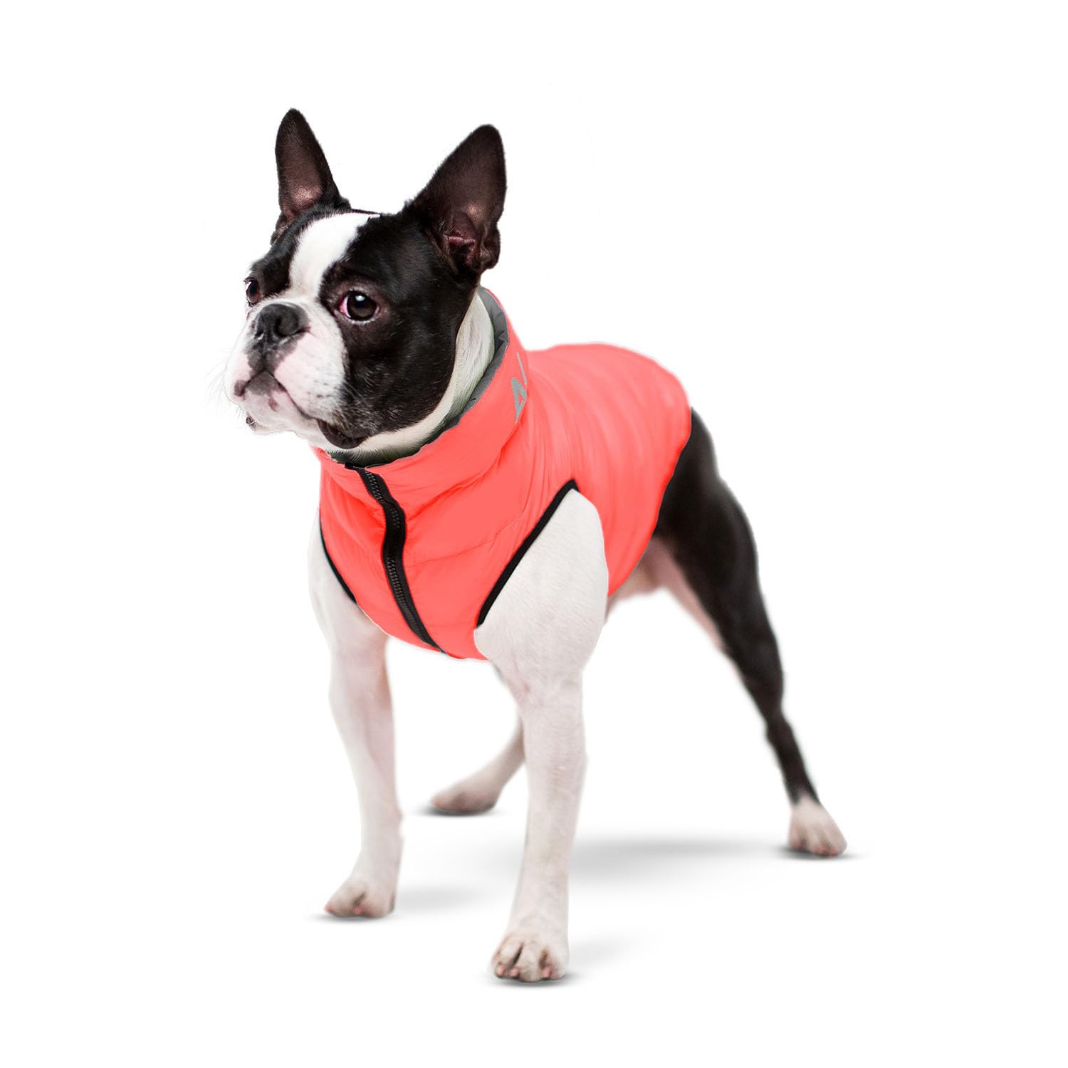 AirVest Reversible Hundekleidung, Hundejacke, Hundemantel, Wasserdicht, Windichte, +Praktische Tasche, Hellgrün + Blau, Größe XS: 25x38x30 cm