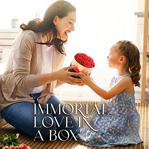 GLAMOUR BOUTIQUE Eternal Preserved Roses in a Box - Flowers Forever, Rose Forever in a Box for Wife, Birthday Gifts for Her, 7 Roses, Red - Image 8