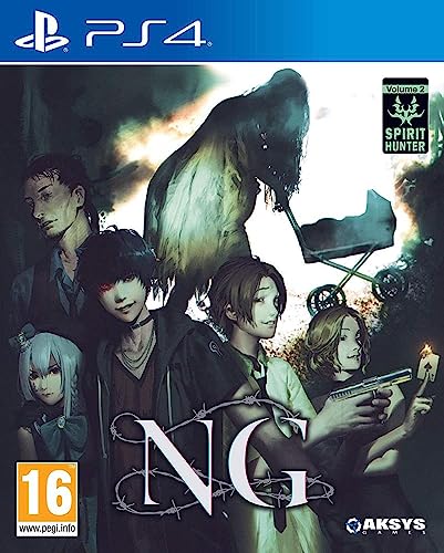 Spirit Hunter NG PS4 jeu d'horreur import UK version physique