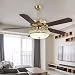 RainierLight Modern Ceiling Fan Lamp LED 3 Changing Light 5 Reversible Blades Crystal Glass Frosted Lampshade with Remote Control for Indoor 52-Inch Mute Energy Saving Fan (Wood Blades)