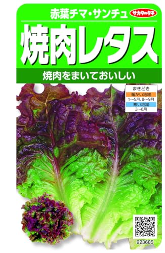 サニーレタスとサンチュ