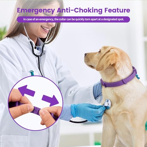 Image of Calming Dog Collar - Fast-Acting, Lasts 60 Days, Choke-Free Design, Pheromone-Infused for Anxiety & Stress Relief, Ideal for Separation Anxiety - Fits Small, Medium & Large Dogs (Black, 1 Pack)