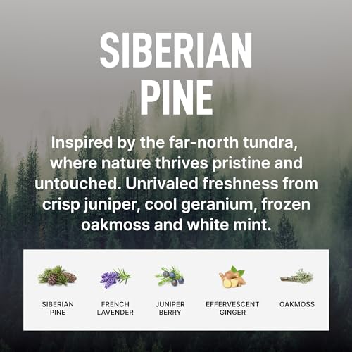 Image of Laundry Sauce - Pods & Scent Booster Bundle (Siberian Pine), Essential Oils