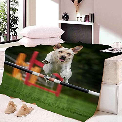 Couverture flanelle microfibre chaude et douce touché peluche - 3