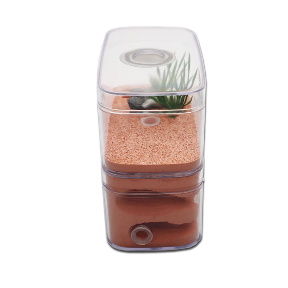 Ant Nid de fourmis en plâtre Formicarium Habitat pour animaux domestiques Château d'insectes avec zone d'alimentation