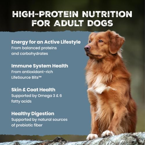Blue Buffalo Wilderness Chicken & Wholesome Grains Adult Dry Dog Food, 13lb - image 3