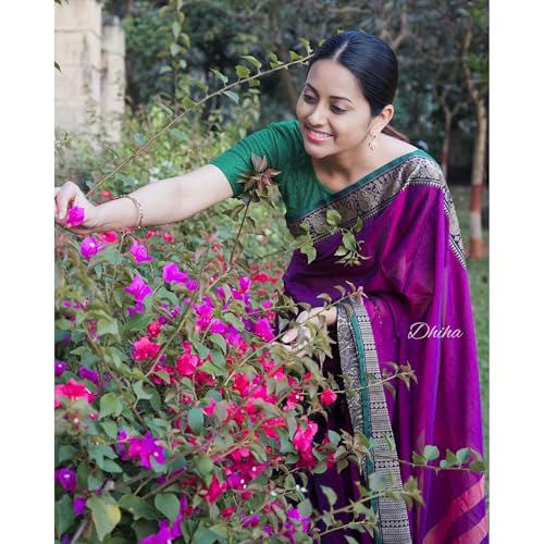 Image of Narayanpet Pure Cotton Avani Border Saree for Women with Running Blouse | Tassels | Traditional Woven Solid Design | Handloom Weave